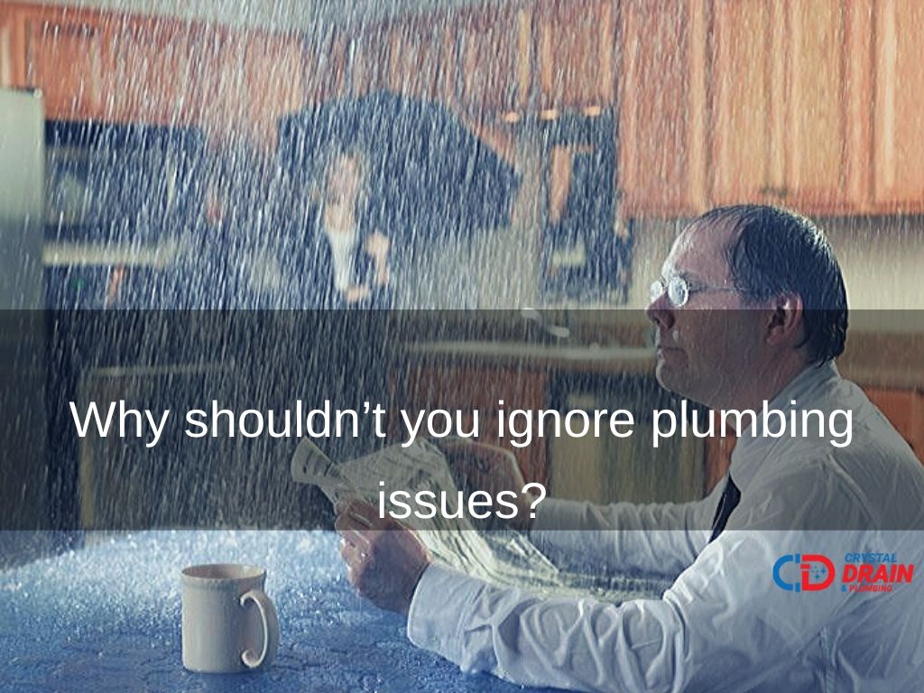 effects of ignoring plumbing issues